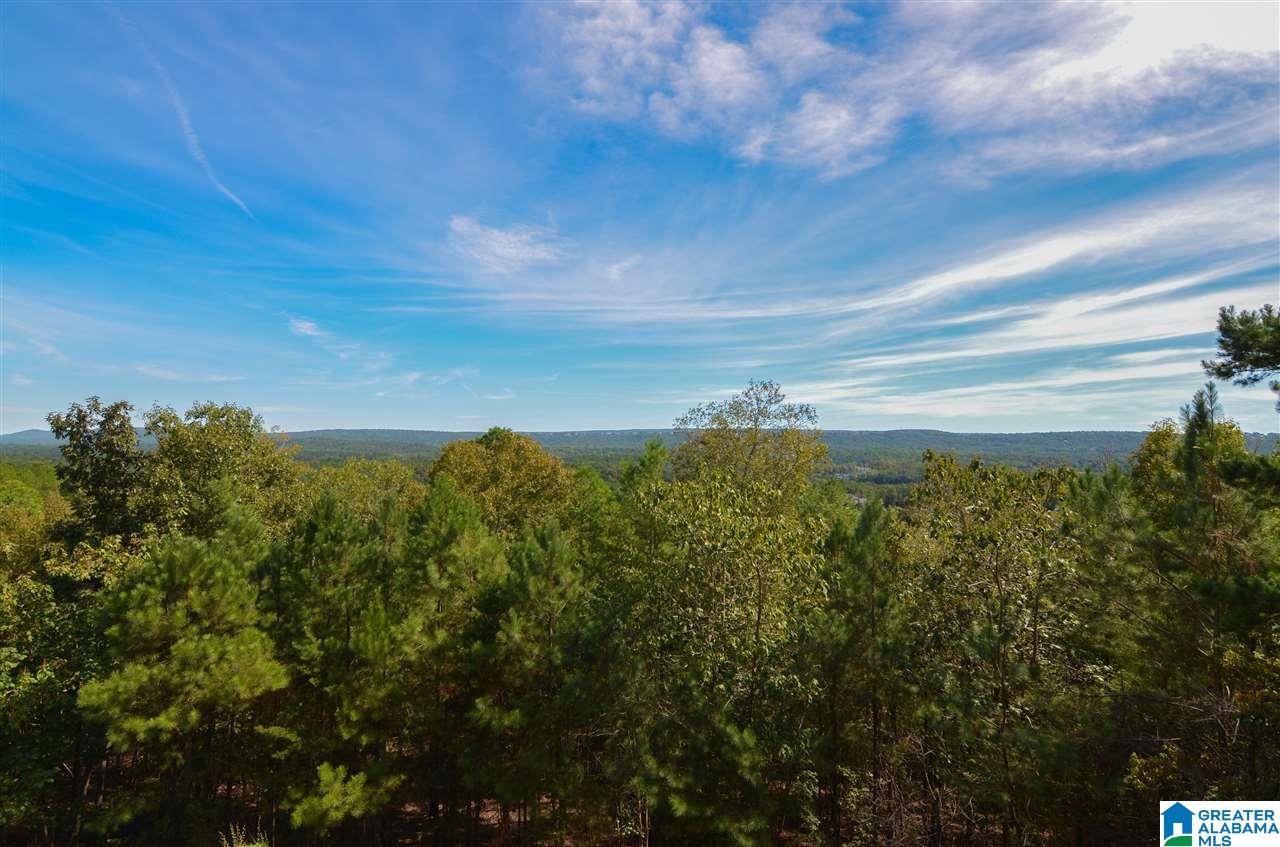 2136 Brook Highland Ridge Birmingham, AL 35242 - Photo 6 of 33