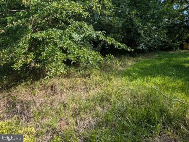 a picture of city view