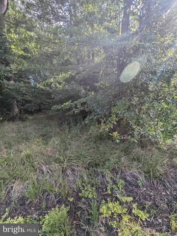 $15,000 | 36788 Springdale Drive, Bushwood, MD 20618