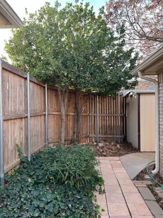 a view of a backyard with plants and wooden fence