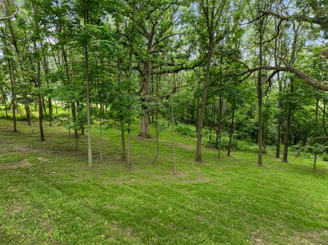 W3830 Scotch Bush Road Lafayette, WI 53121 - Photo 98 of 122 20250715172322633563000000-o