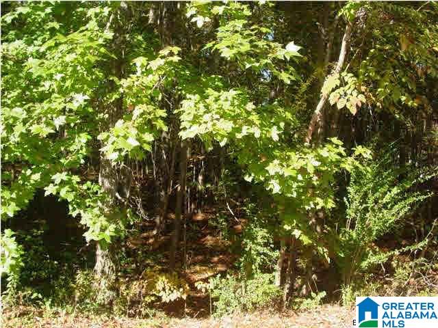 Choccolocco Road, Unit 2 43 Anniston, AL 36201 - Photo 4 of 10