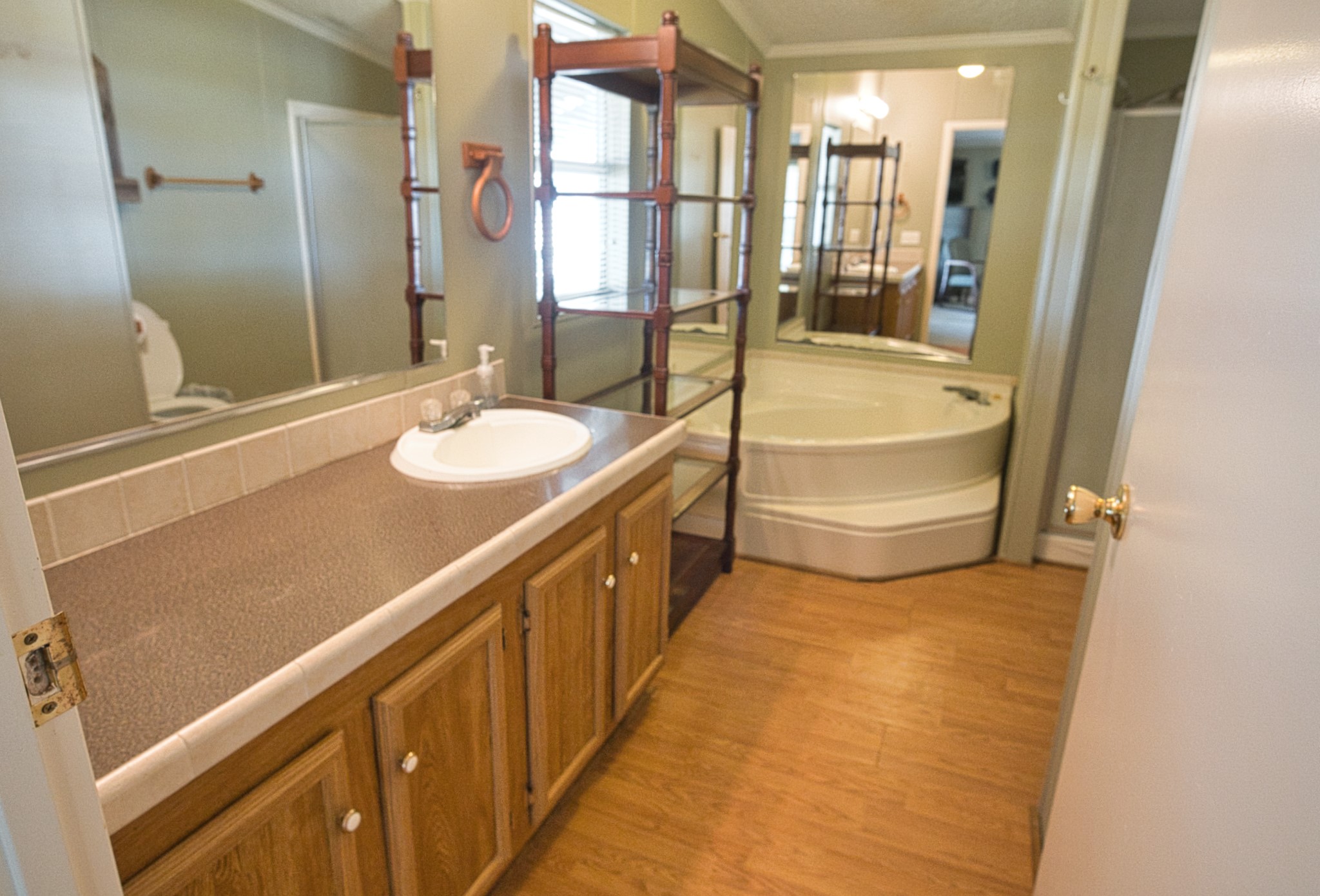 5582 County Road 469 Brazoria, TX 77422 - Photo 17 of 32 Primary Bath. Separate Walk-in Shower