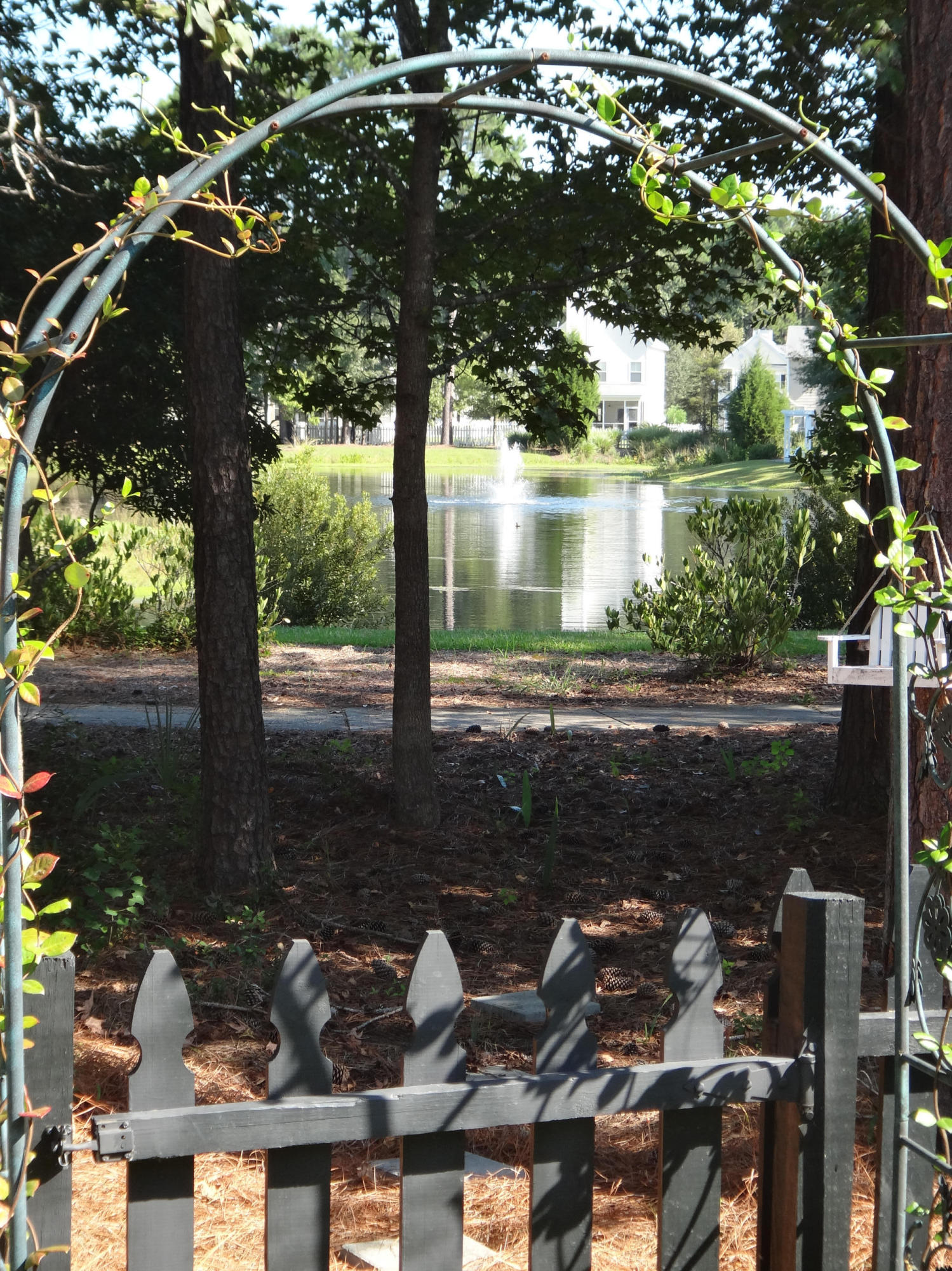 3260 Beaconsfield Road Mount Pleasant, SC 29466 - Photo 21 of 32 Pond View