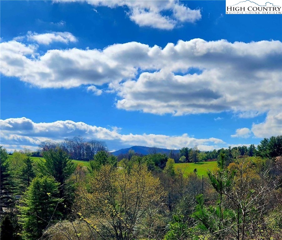 Laurel Fork Boone, NC 28607 - Photo 1 of 21 Gallery Image 1