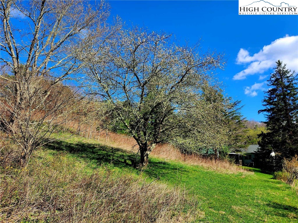 Laurel Fork Boone, NC 28607 - Photo 15 of 21 Gallery Image 15