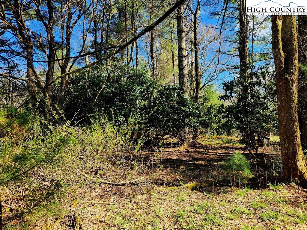 Laurel Fork Boone, NC 28607 - Photo 20 of 21 Gallery Image 20
