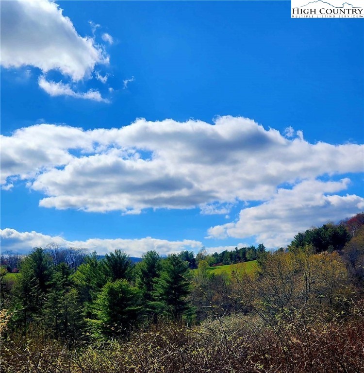 Laurel Fork Boone, NC 28607 - Photo 2 of 21 Gallery Image 2