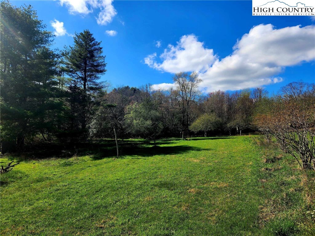 Laurel Fork Boone, NC 28607 - Photo 8 of 21 Gallery Image 8