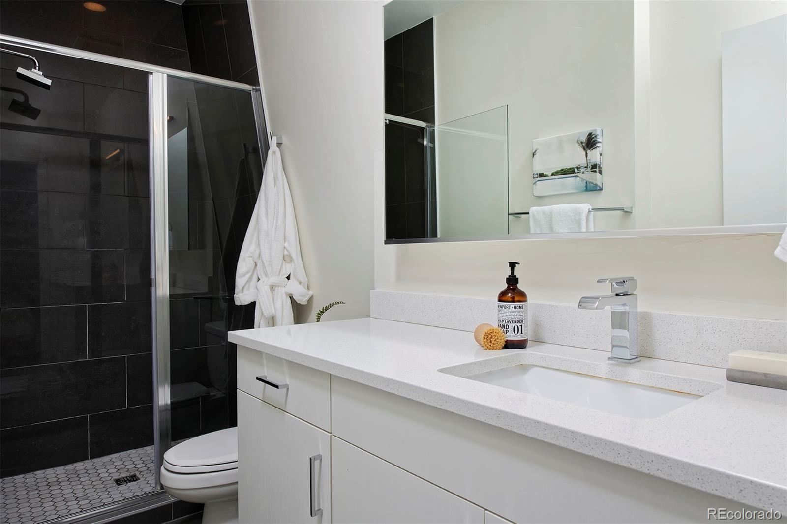 3953 Inca Street Denver, CO 80211 - Photo 6 of 34 Gallery Image 6
