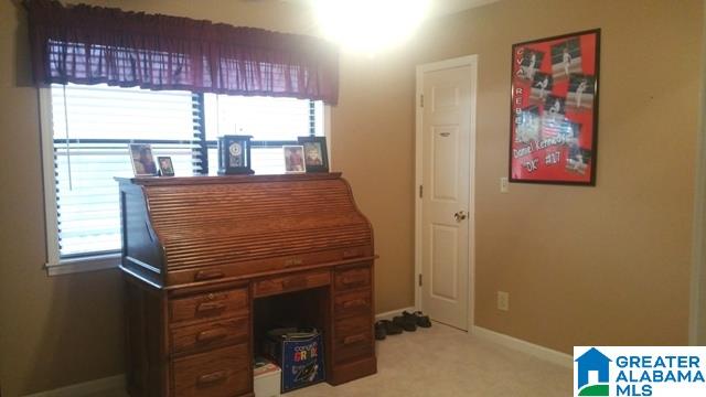 250 Nixon Road Cropwell, AL 35054 - Photo 19 of 49