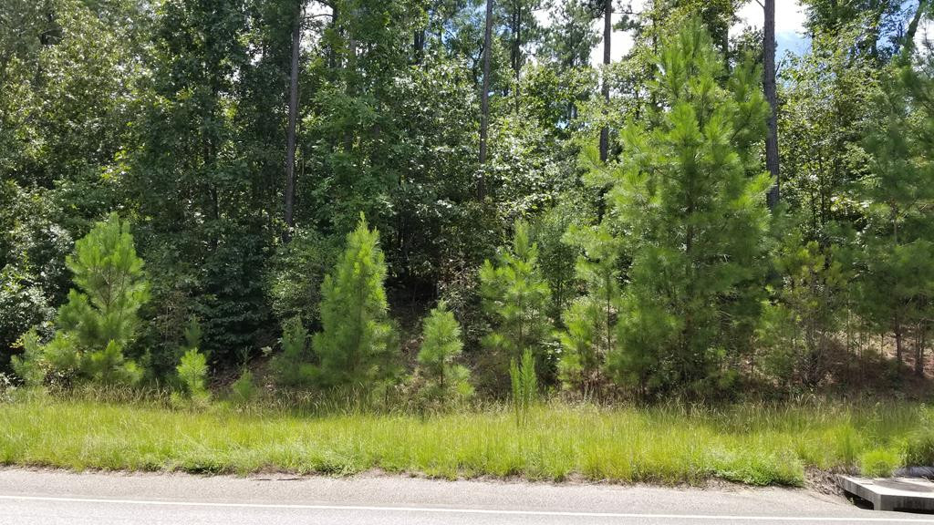 Lot 20 Anderson Pond Road Aiken, SC 29803 - Photo 1 of 1