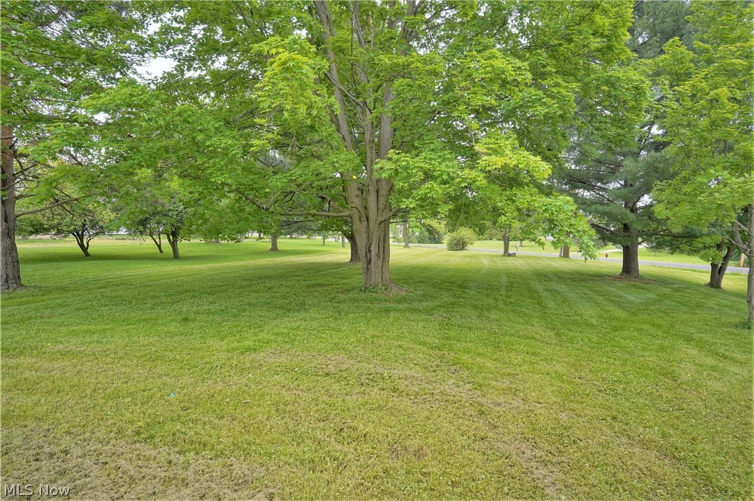 5319 Seville Road Seville, OH 44273 - Photo 31 of 34 Gallery Image 31