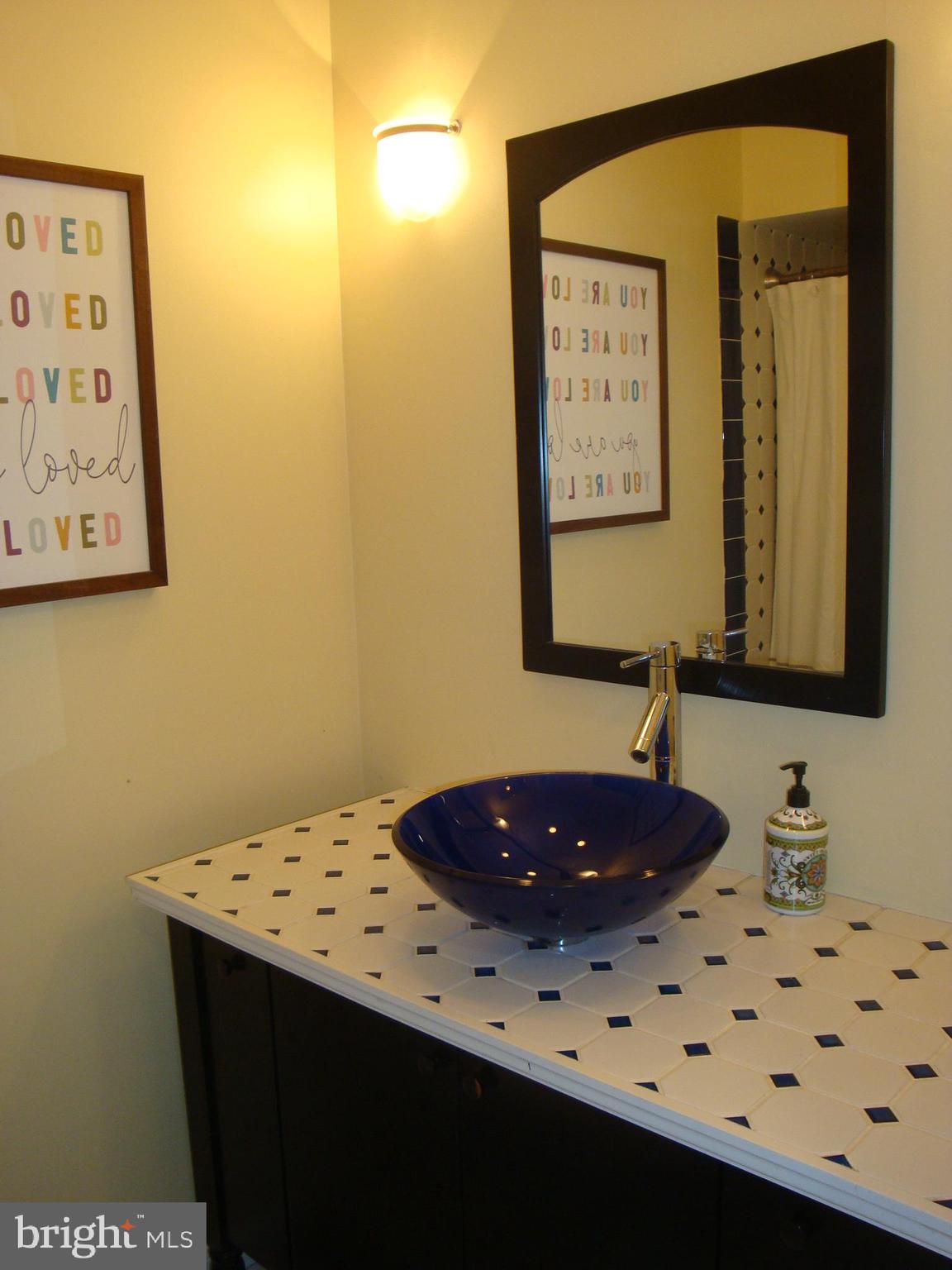 181 North Timber Road Holland, PA 18966 - Photo 29 of 37 Updated Hall Bathroom