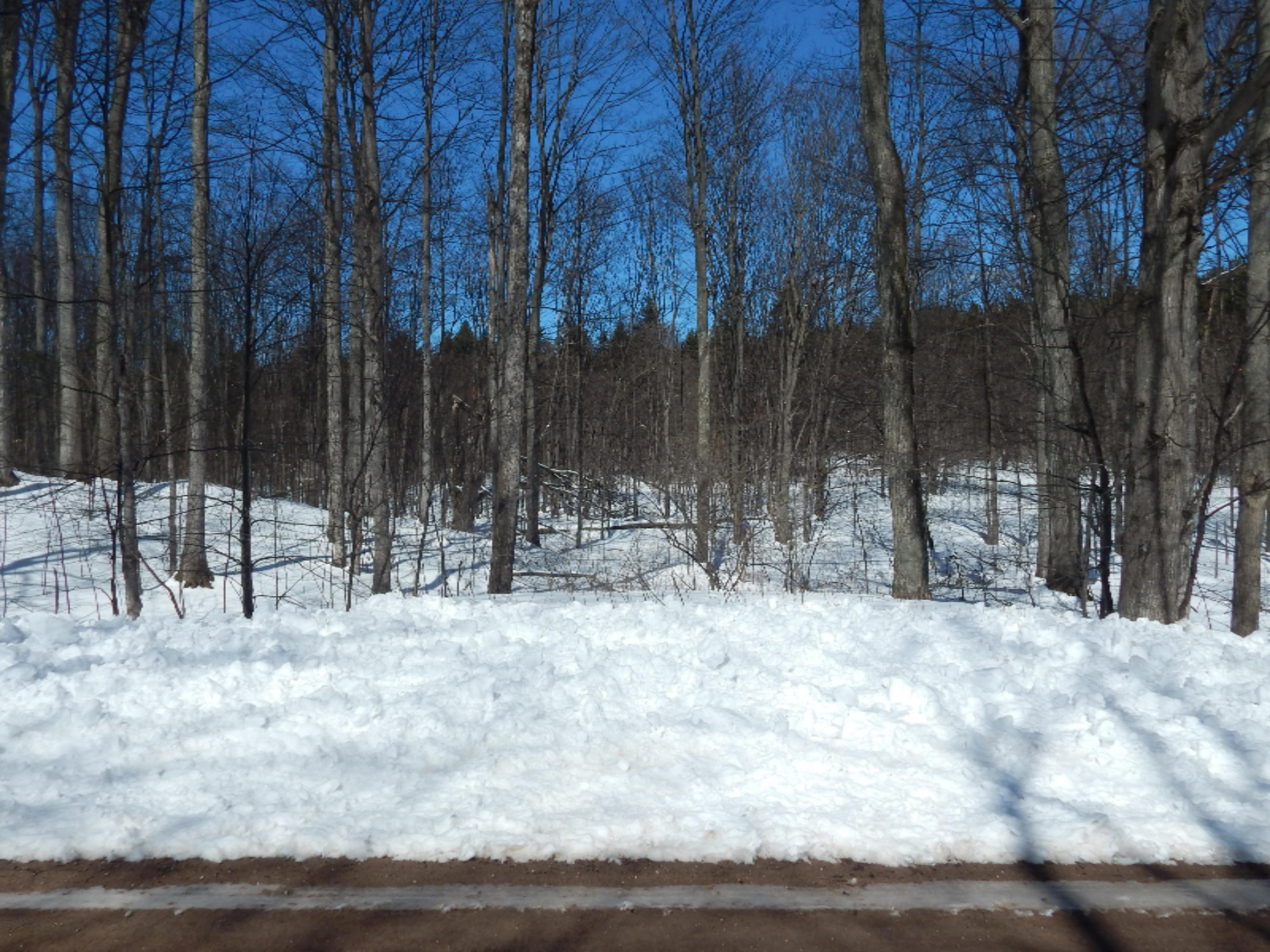Taylor Road Bear Lake, MI 49614 - Photo 1 of 10 Taylor Rd 3.5 acres