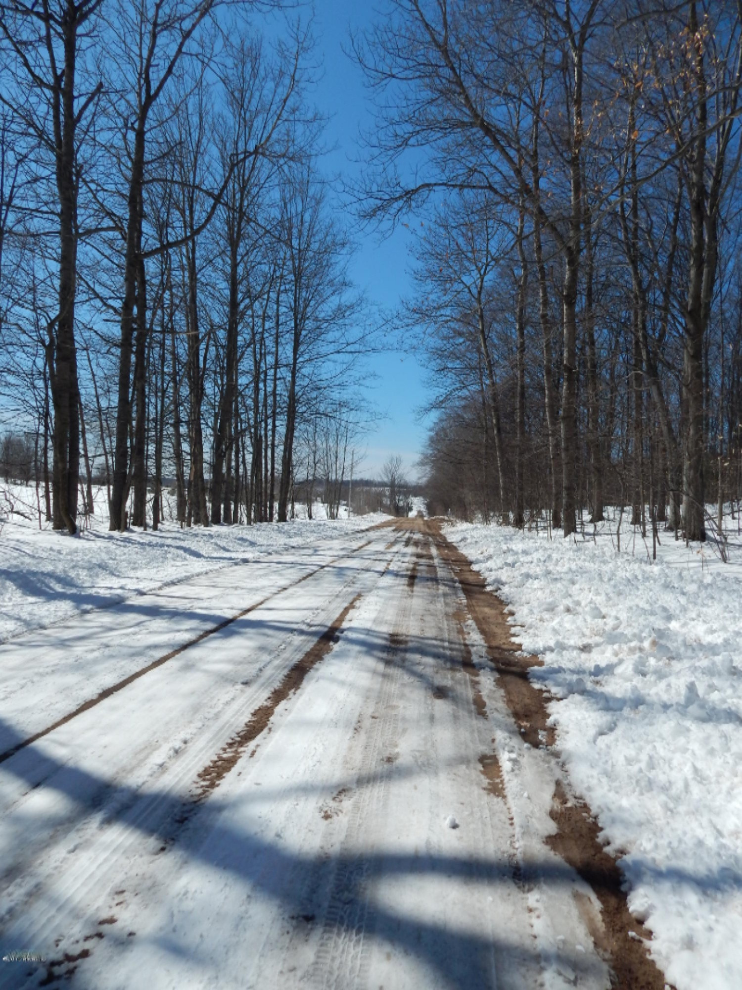 Taylor Road Bear Lake, MI 49614 - Photo 4 of 10 Taylor Rd 3.5 acres 012