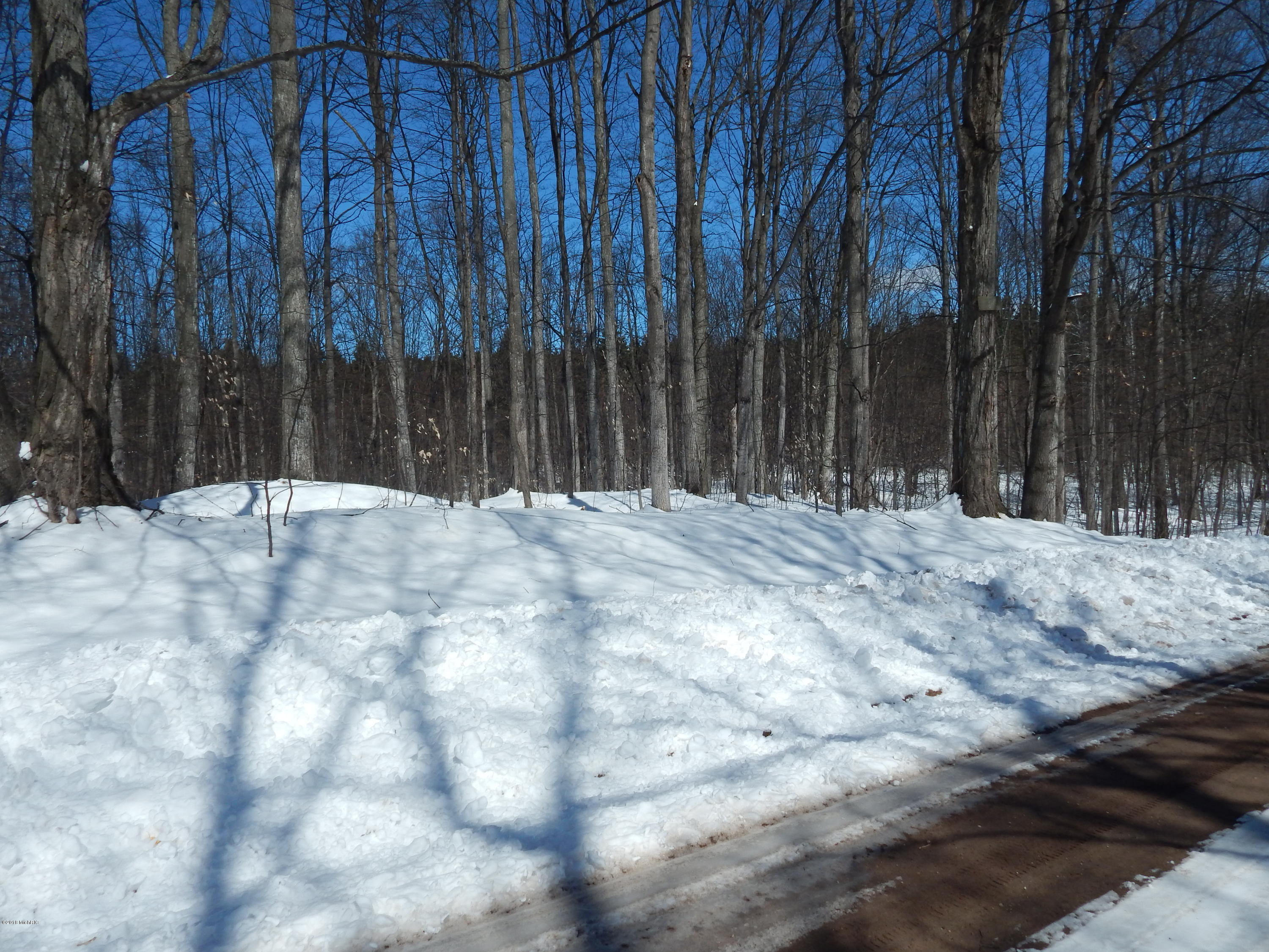 Taylor Road Bear Lake, MI 49614 - Photo 5 of 10 Taylor Rd 3.5 acres 001