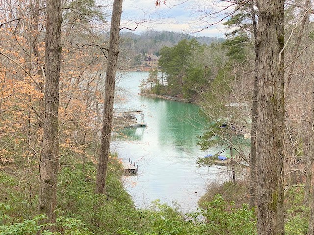 416 Old Shallowford Bridge Road Sunset, SC 29685 - Photo 1 of 12 Gallery Image 1