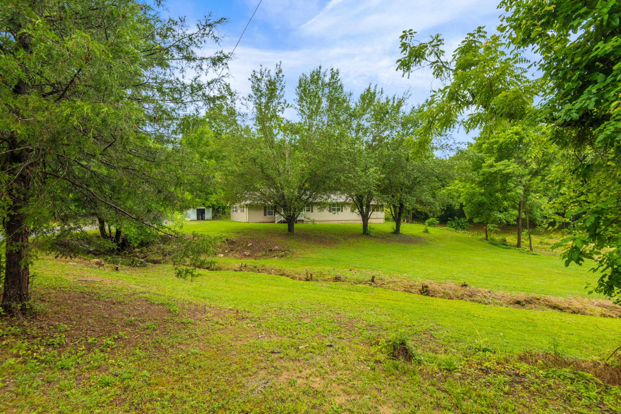 649 Johnson Road Kodak, TN 37764 - Photo 5 of 27 a view of yard with green space and trees around