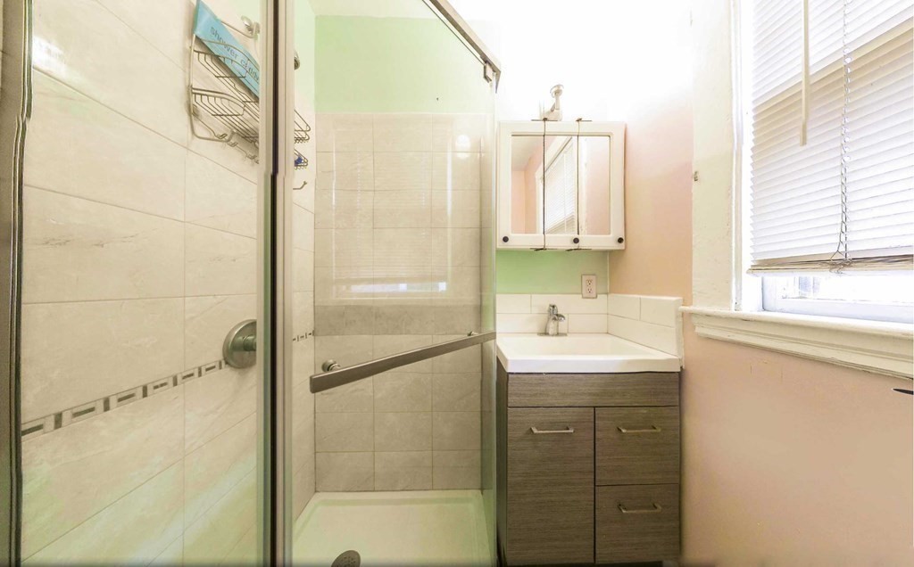 22 Priesing Street, Unit 22 Boston, MA 02130 - Photo 10 of 13