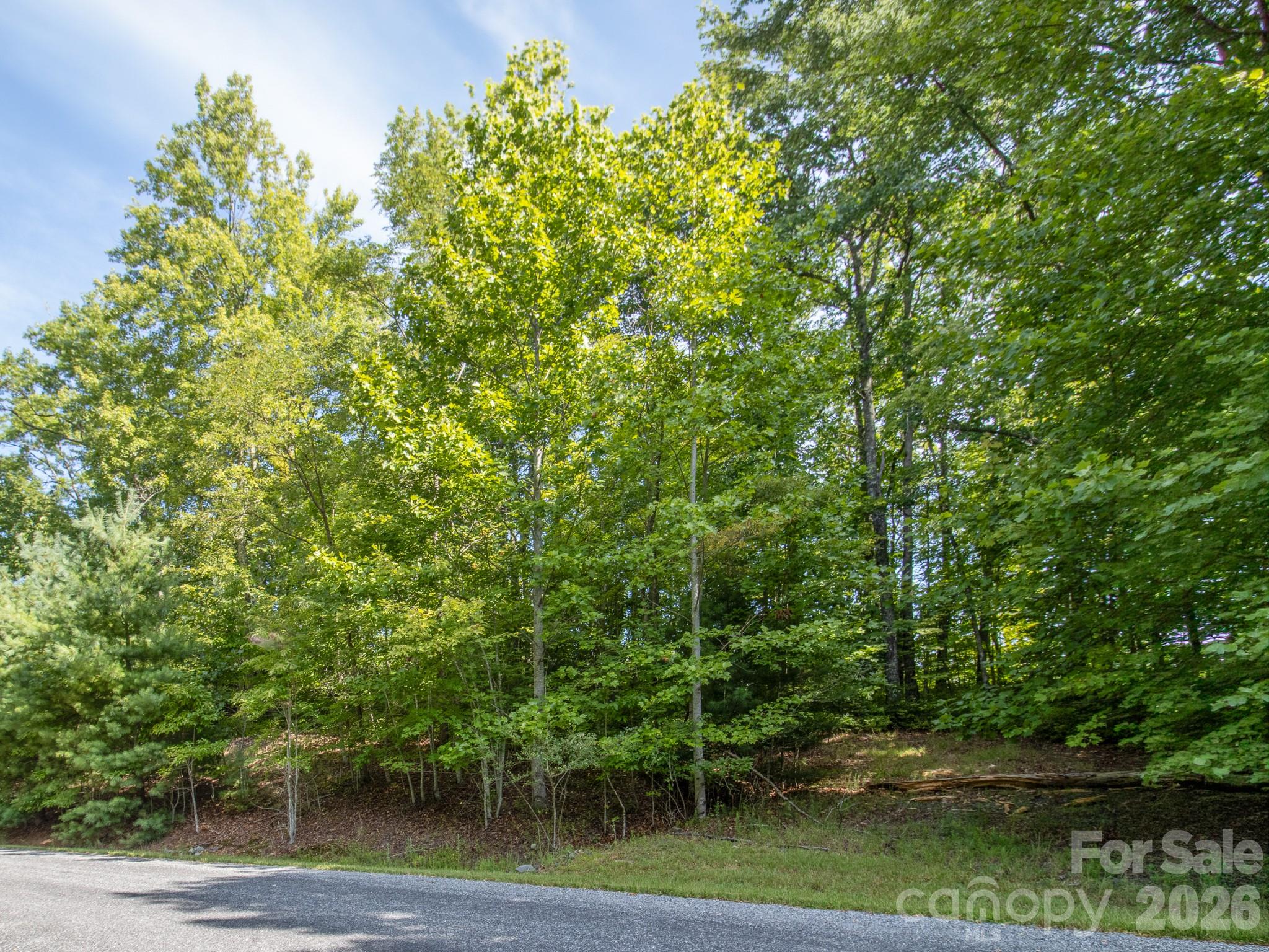 Tbd Kelly Mountain Road, Unit 19 Brevard, NC 28712 - Photo 7 of 13 Gallery Image 7