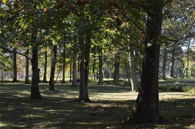 517 Second Plumb Road Belvidere, TN 37306 - Photo 20 of 20 a view of a yard with trees