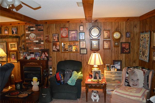 517 Second Plumb Road Belvidere, TN 37306 - Photo 4 of 20 a living room with fireplace furniture and a fireplace