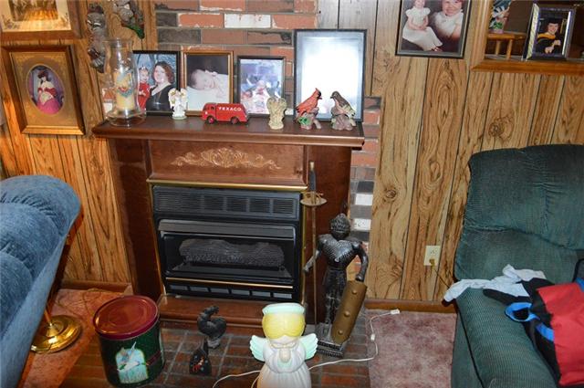 517 Second Plumb Road Belvidere, TN 37306 - Photo 5 of 20 a view of living room with furniture and a fireplace