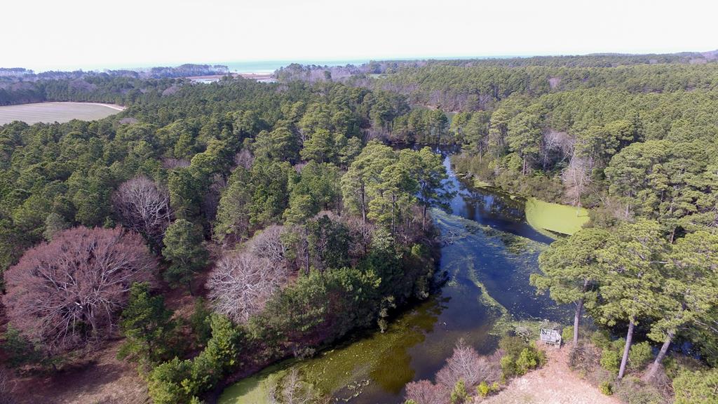 10360 Church Neck Road, Unit 12 Machipongo, VA 23405 - Photo 13 of 18