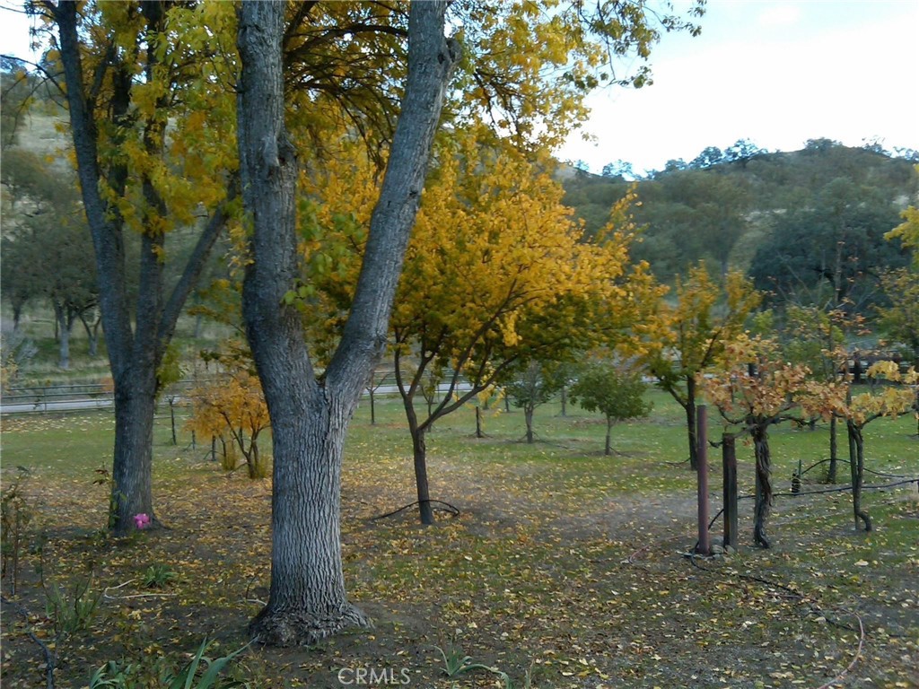 3470 Ranchita Canyon Road San Miguel, CA 93451 - Photo 38 of 61 Gallery Image 38