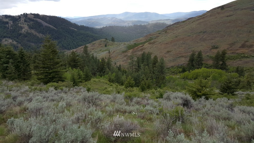 0 Whackmaster Road Republic, WA 99166 - Photo 11 of 13 Gallery Image 11