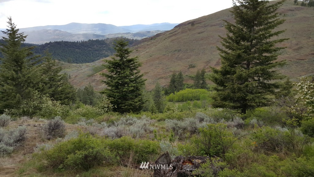 0 Whackmaster Road Republic, WA 99166 - Photo 12 of 13 Gallery Image 12