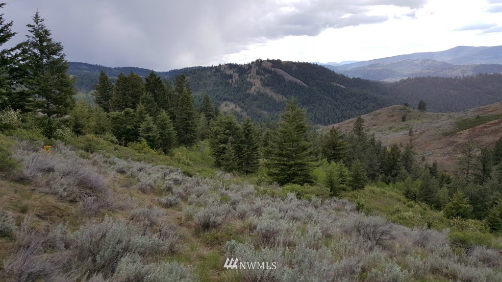 0 Whackmaster Road Republic, WA 99166 - Photo 13 of 13 Gallery Image 13