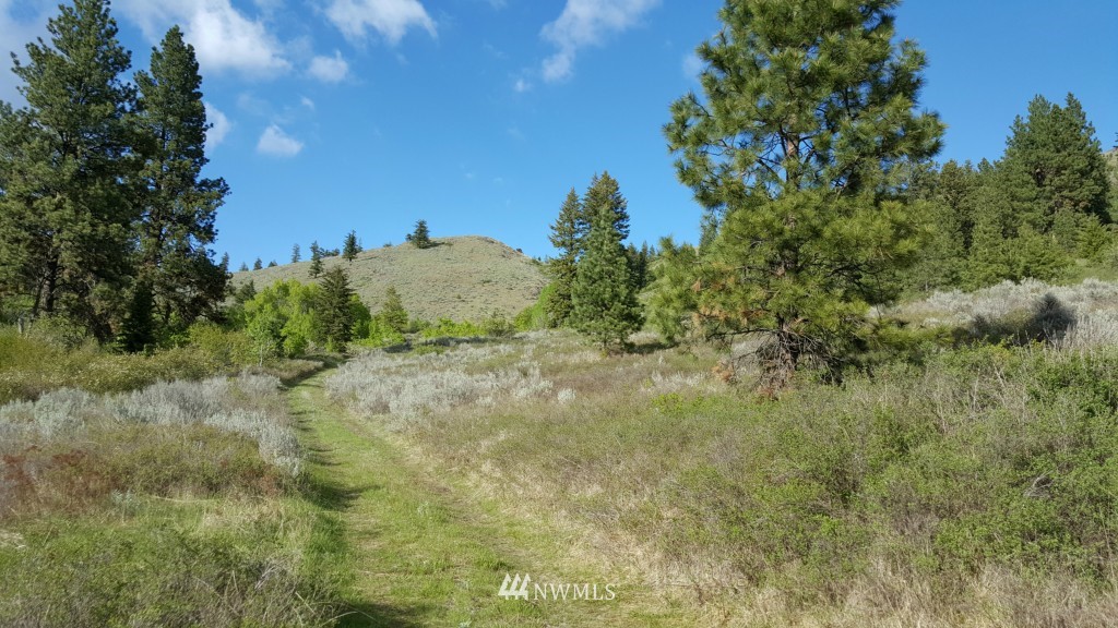 0 Whackmaster Road Republic, WA 99166 - Photo 10 of 13 Gallery Image 10