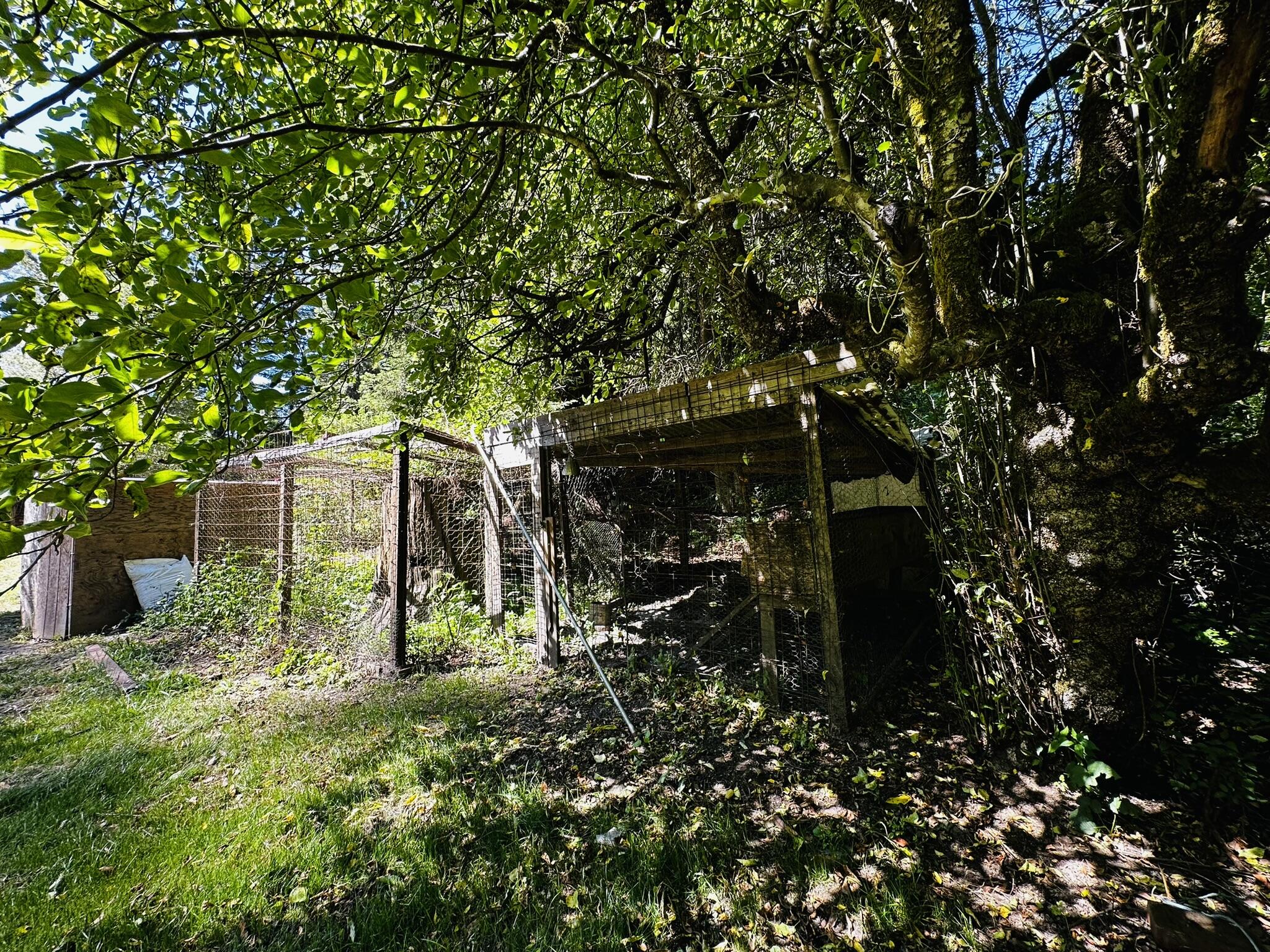 2675 Briceland Road Redway, CA 95560 - Photo 79 of 113 IMG_1301