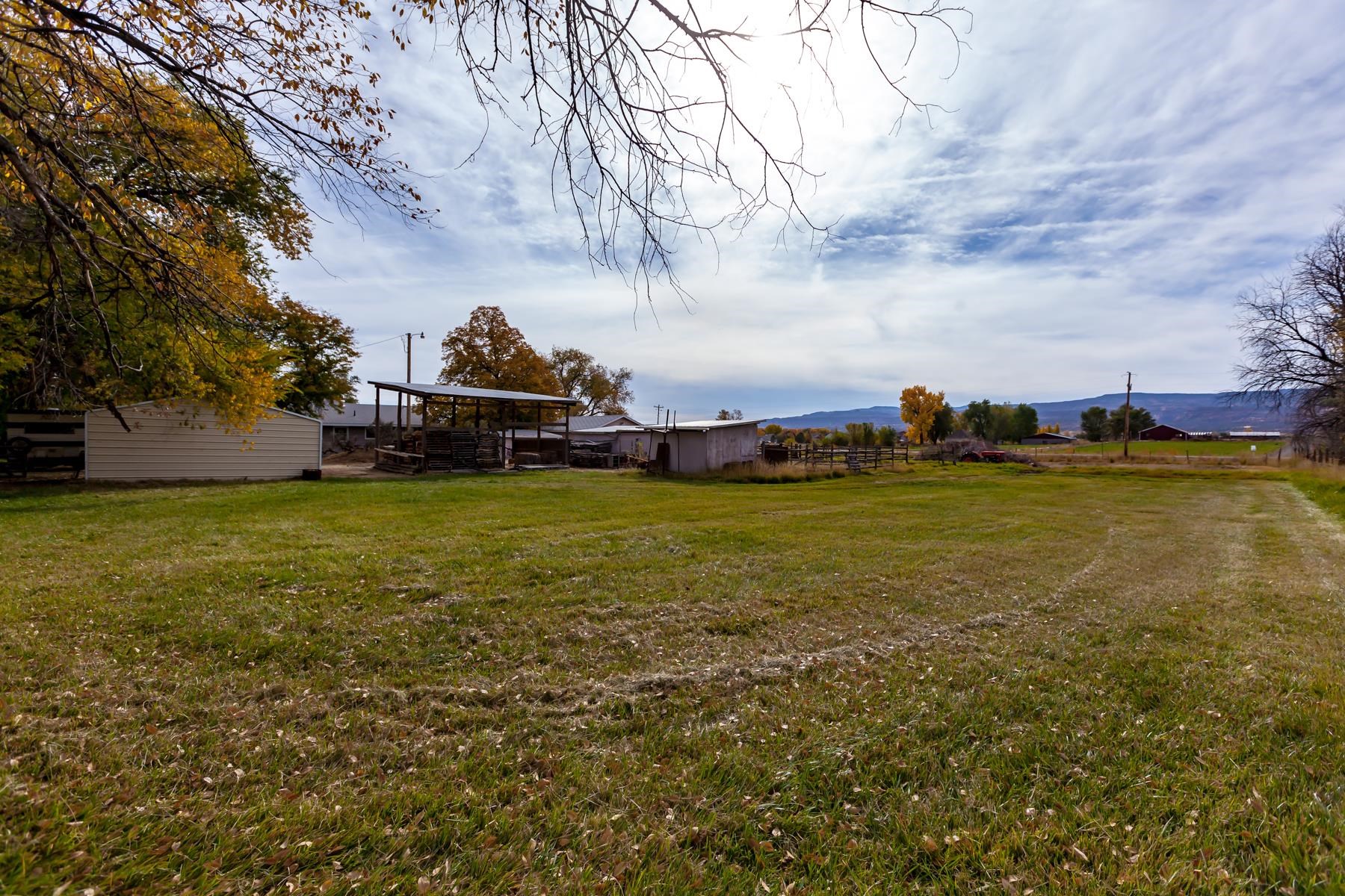 1303 13 Road Loma, CO 81524 - Photo 8 of 33 Gallery Image 8