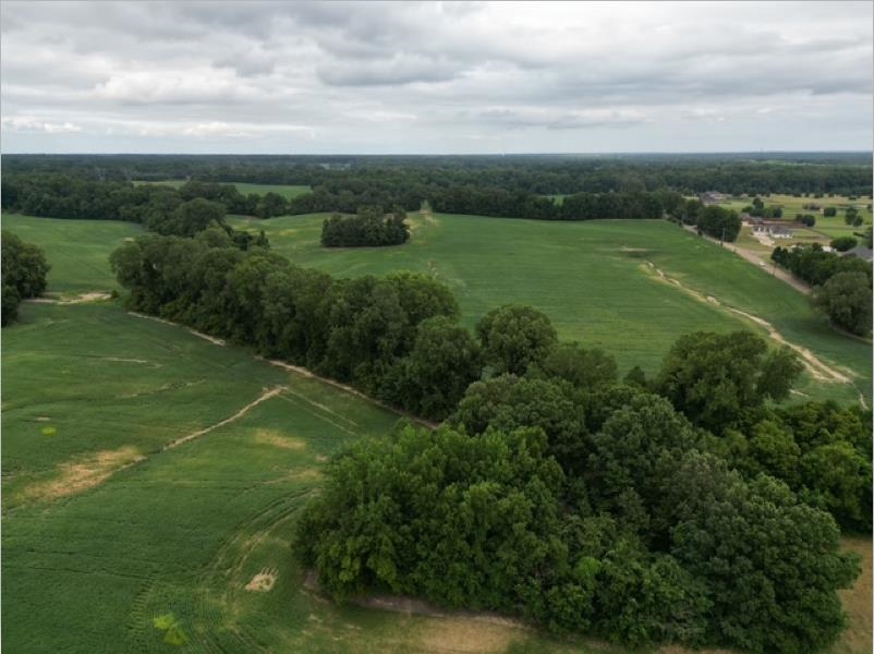 8624 Mudville Road Atoka, TN 38004 - Photo 6 of 21 Aerial view