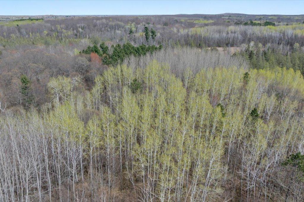 9382 County Road 8 Brainerd, MN 56401 - Photo 61 of 108