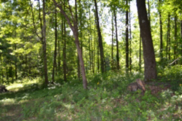 318 Rock Springs Road Celina, TN 38551 - Photo 39 of 87