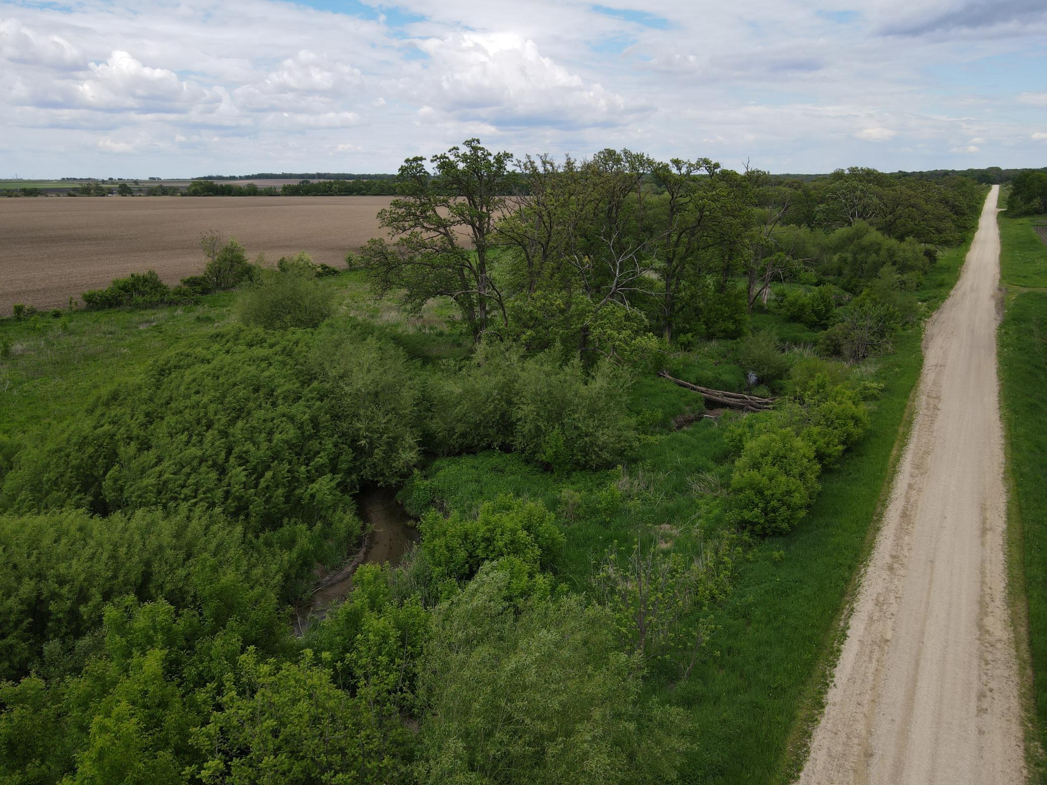 56 Highway 56 Le Roy, MN 55951 - Photo 16 of 26