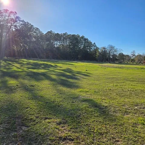 a view of a with large trees
