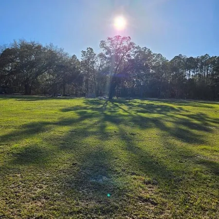 a view of a field with an trees