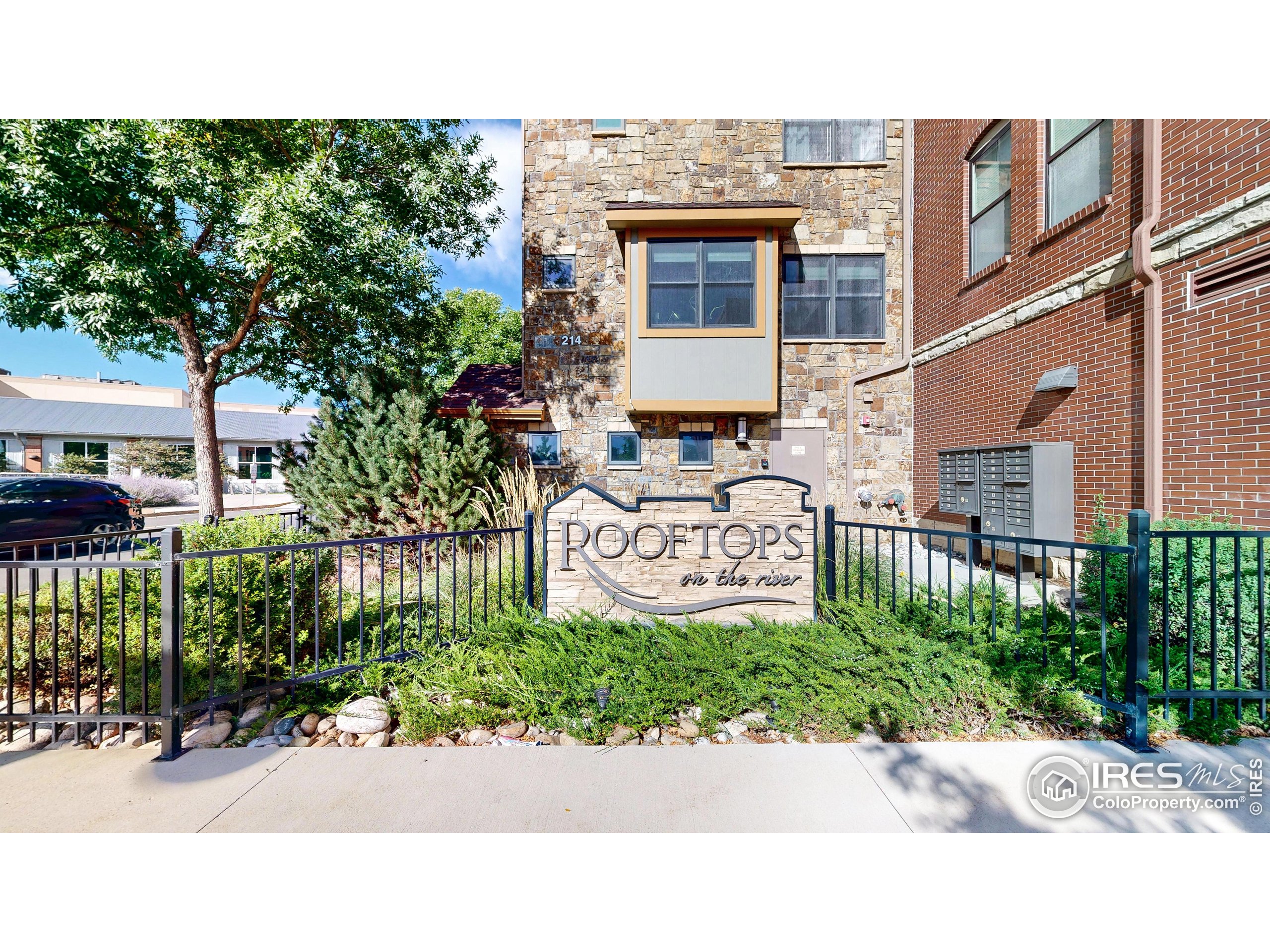 214 Willow Street, Unit 1 Fort Collins, CO 80524 - Photo 3 of 48 a picture of a street with potted plants and big trees
