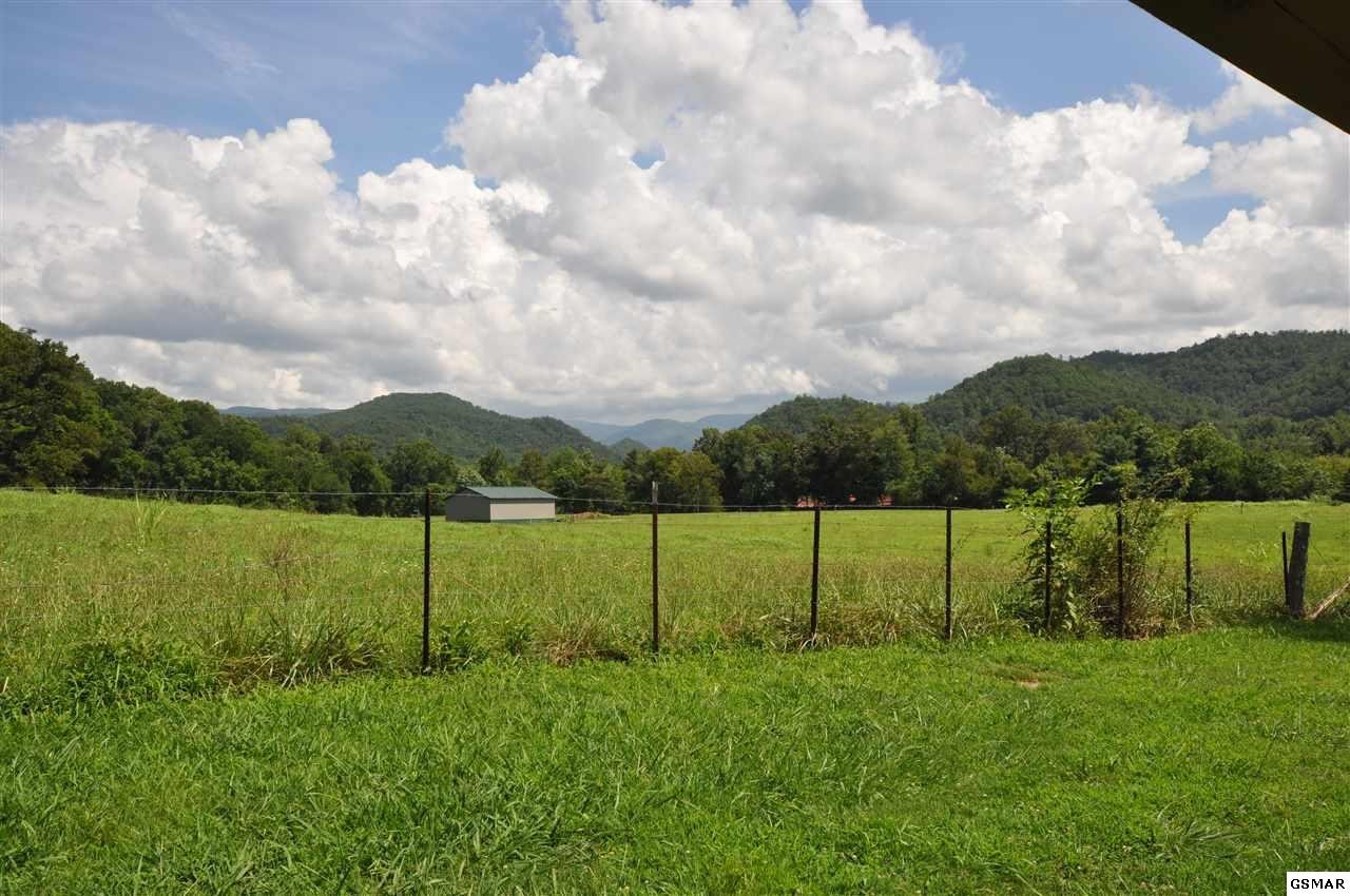 318 Wears Valley Road Townsend, TN 37882 - Photo 2 of 33 Gallery Image 2