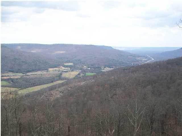0 North Bluff Road, Unit 26 Guild, TN 37340 - Photo 2 of 4 Primary Photo