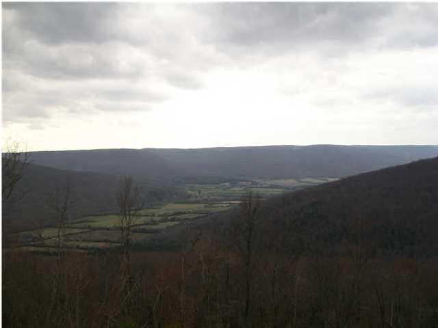 0 North Bluff Road, Unit 26 Guild, TN 37340 - Photo 3 of 4 0 Jackson Bluff 2