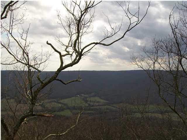0 North Bluff Road, Unit 26 Guild, TN 37340 - Photo 4 of 4 0 Jackson Bluff 3