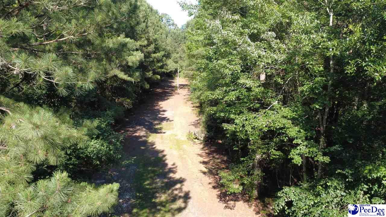 Tbd North Tbd N Bethel Road Scranton, SC 29591 - Photo 23 of 28 Gallery Image 23