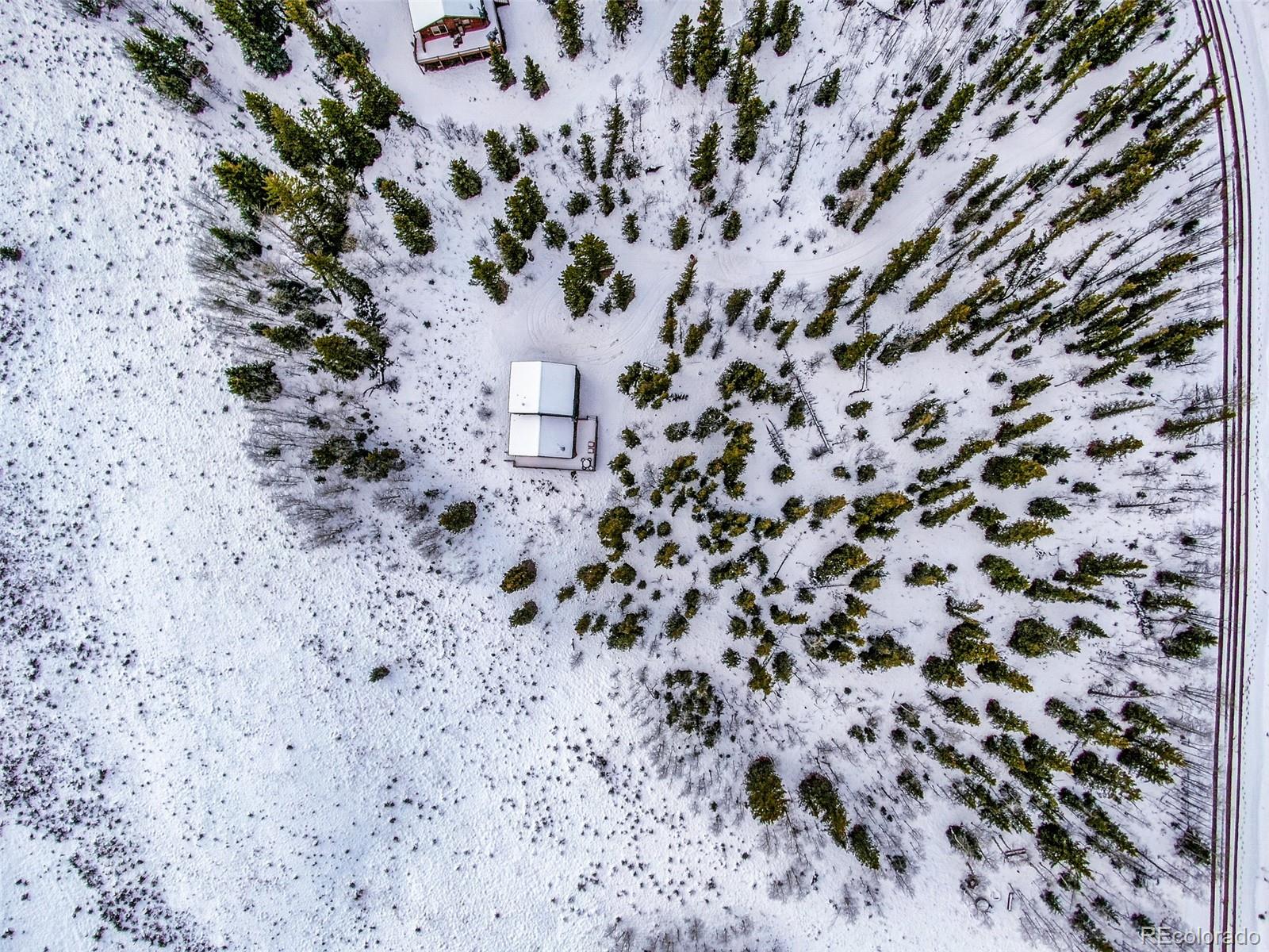 315 Haida Road Como, CO 80456 - Photo 49 of 50 a picture of a tree