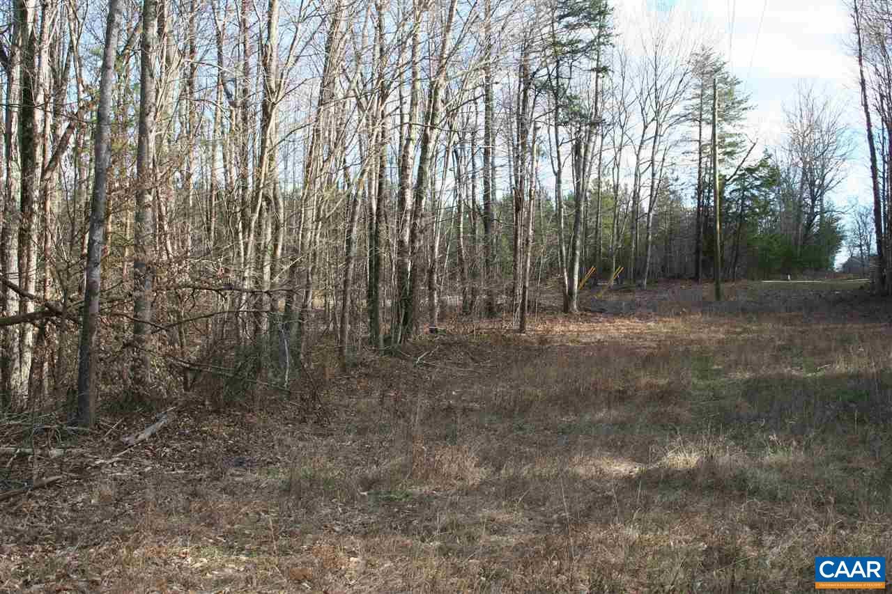 Tba Lot 2 Tba Route South Dillwyn, VA 23936 - Photo 11 of 39 Gallery Image 11
